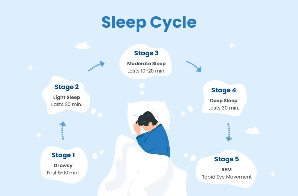 Ismered az alvás fázisokat?